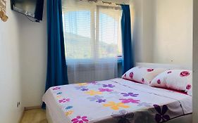 Apartment Alina